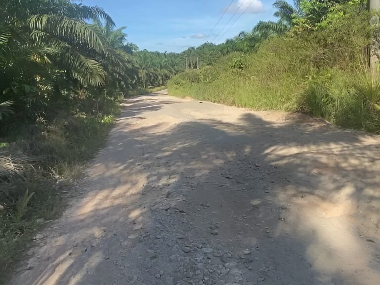 Foto: Semenisasi akses jalan poros kecamatan Kota Bangun Darat yang akan mulai dikerjakan pada tahun 2024.