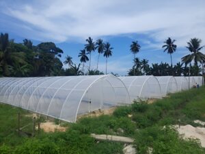 Foto: Rumah garam tunnel yang dibangun menggunakan plastik dan pipa di Desa Kersik, Kecamatan Marangkayu, Kabupaten Kutai Kartanegara.